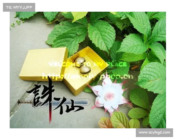 正确解读诛仙三界传说中的天地人关系与文化象征意义